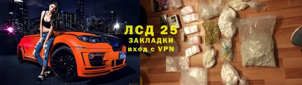 сатива Гусев