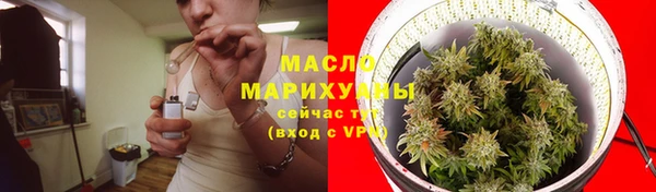 сатива Гусев