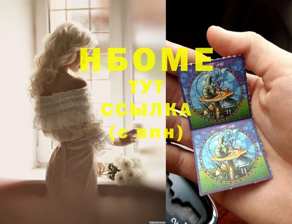 сатива Гусев