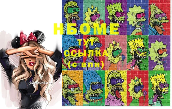 сатива Гусев