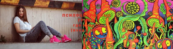 сатива Гусев