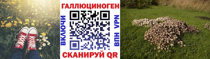 гидра вход  Архангельск  Псилоцибиновые грибы Psilocybine cubensis 