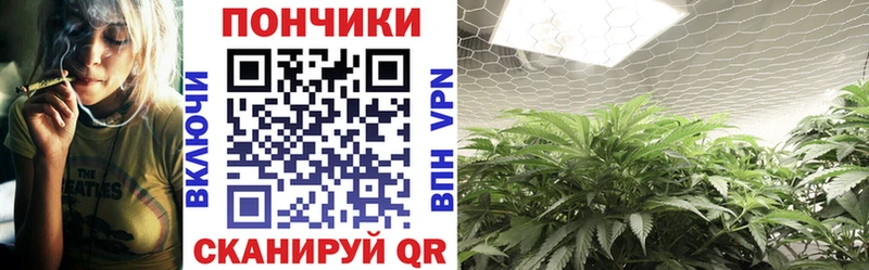 Каннабис Amnesia  как найти наркотики  omg рабочий сайт  Архангельск 